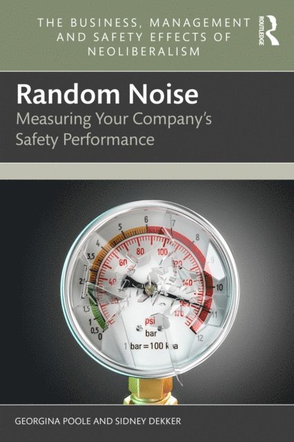 Sidney Dekker, Georgina Poole - Random Noise, E-bok