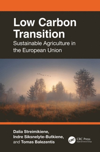 Tomas Balezentis, Indre Siksnelyte-Butkiene, Dalia Streimikiene - Low Carbon Transition, E-bok