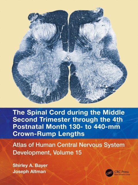 Joseph Altman, Shirley A. Bayer - Spinal Cord during the Middle Second Trimester through the 4th Postnatal Month 130- to 440-mm Crown-Rump Lengths, E-bok