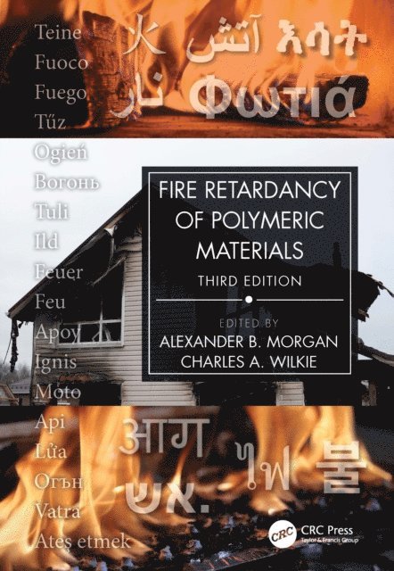 Alexander B. Morgan, Charles A. Wilkie - Fire Retardancy of Polymeric Materials, E-bok