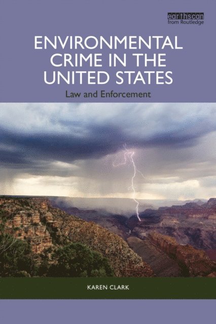Karen Clark - Environmental Crime in the United States, E-bok