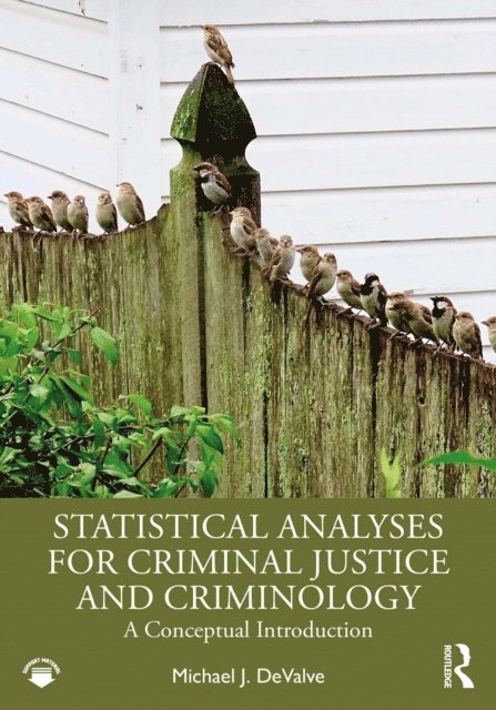 Michael J. DeValve - Statistical Analyses for Criminal Justice and Criminology, E-bok