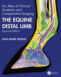Equine Distal Limb
