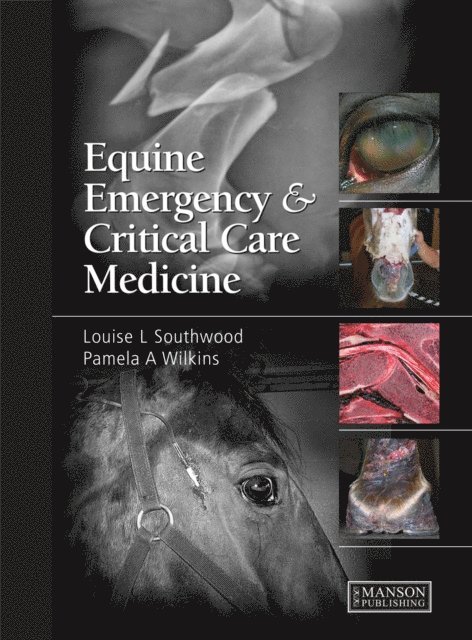 Pamela A. Wilkins, Louise Southwood - Equine Emergency and Critical Care Medicine, E-bok