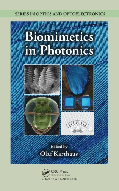 Olaf Karthaus - Biomimetics in Photonics, E-bok