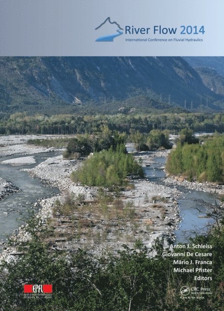 Michael Pfister, Mario J. Franca, Giovanni de Cesare, Anton J. Schleiss - River Flow 2014, E-bok