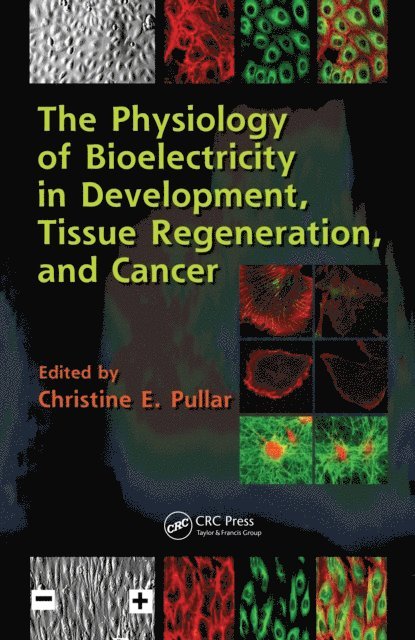 Christine E. Pullar - Physiology of Bioelectricity in Development, Tissue Regeneration and Cancer, E-bok