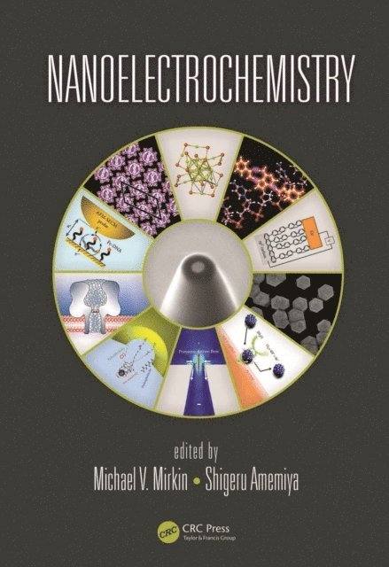 Shigeru Amemiya, Michael V. Mirkin - Nanoelectrochemistry, E-bok