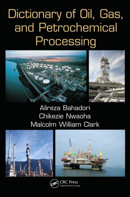 Alireza Bahadori - Dictionary of Oil, Gas, and Petrochemical Processing, E-bok