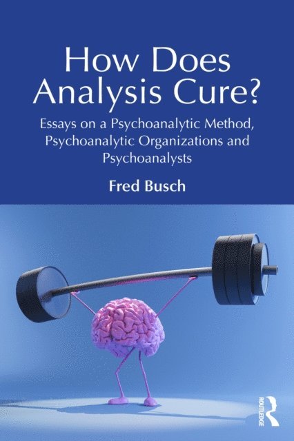 Fred Busch - How Does Analysis Cure?, E-bok