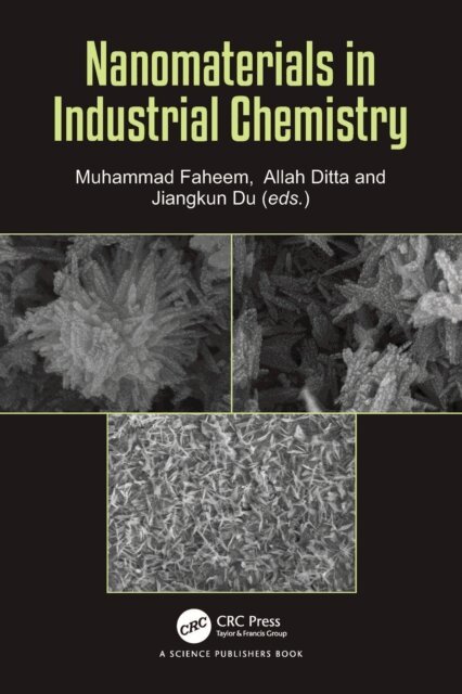 Jiangkun Du, Allah Ditta, Muhammad Faheem - Nanomaterials in Industrial Chemistry, E-bok