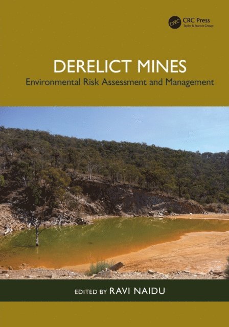 Ravi Naidu - Derelict Mines, E-bok