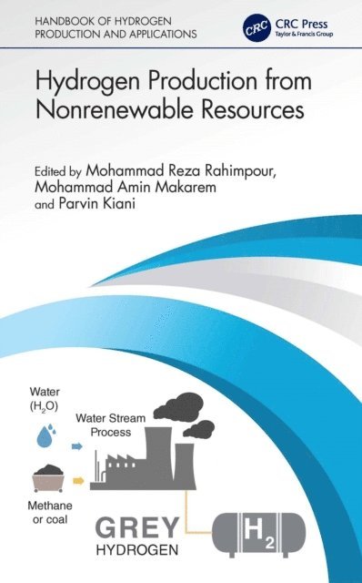 Parvin Kiani, Mohammad Amin Makarem, Mohammad Reza Rahimpour - Hydrogen Production from Nonrenewable Resources, E-bok