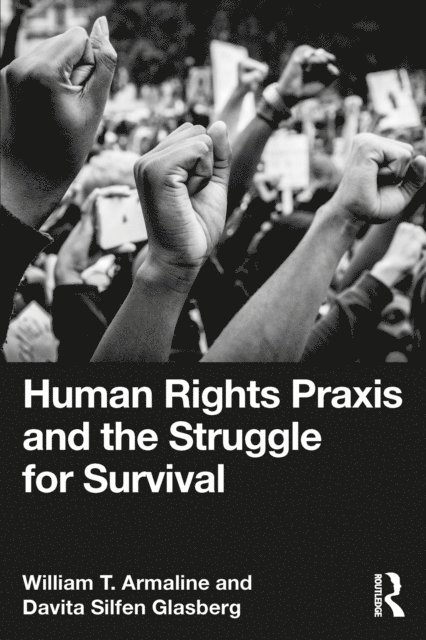 Davita Silfen Glasberg, William T. Armaline - Human Rights Praxis and the Struggle for Survival, E-bok