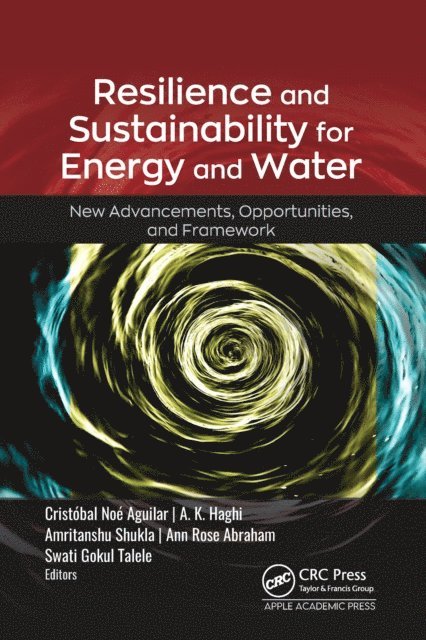 Swati Gokul Talele, Ann Rose Abraham, Amritanshu Shukla, A. K. Haghi, Cristobal Noe Aguilar - Resilience and Sustainability for Energy and Water, E-bok