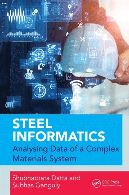 Subhas Ganguly, Shubhabrata Datta - Steel Informatics, E-bok