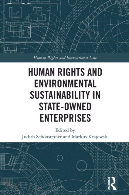 Markus Krajewski, Judith Schonsteiner - Human Rights and Environmental Sustainability in State-Owned Enterprises, E-bok