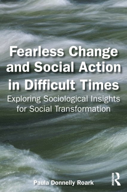 Paula Donnelly Roark - Fearless Change and Social Action in Difficult Times, E-bok