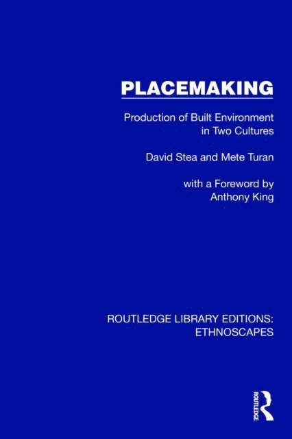 Mete Turan, David Stea - Placemaking, E-bok