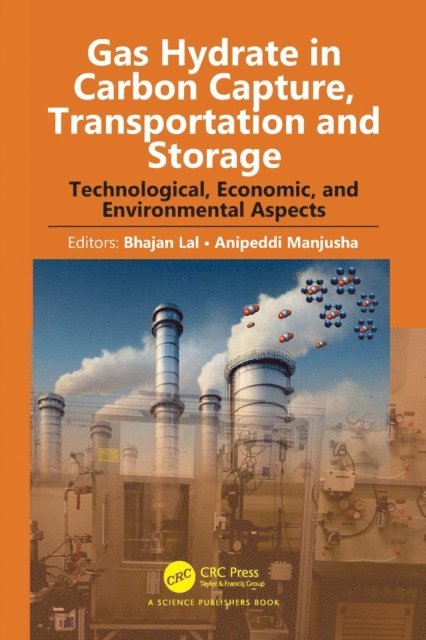 Anipeddi Manjusha, Bhajan Lal - Gas Hydrate in Carbon Capture, Transportation and Storage, E-bok