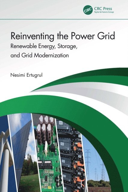 Nesimi Ertugrul - Reinventing the Power Grid, E-bok