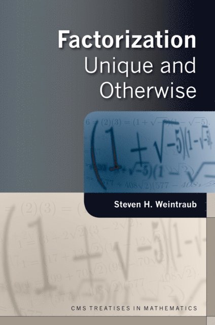 Steven H. Weintraub - Factorization, E-bok