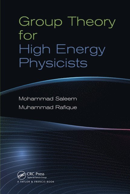 Muhammad Rafique, Mohammad Saleem - Group Theory for High Energy Physicists, E-bok