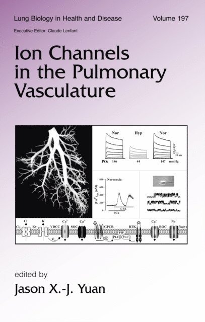 Jason X. J. Yuan - Ion Channels in the Pulmonary Vasculature, E-bok