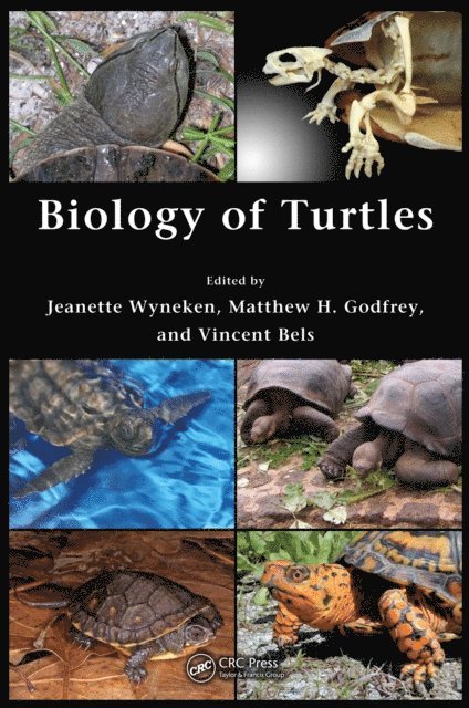Vincent Bels, Matthew H. Godfrey, Jeanette Wyneken - Biology of Turtles, E-bok