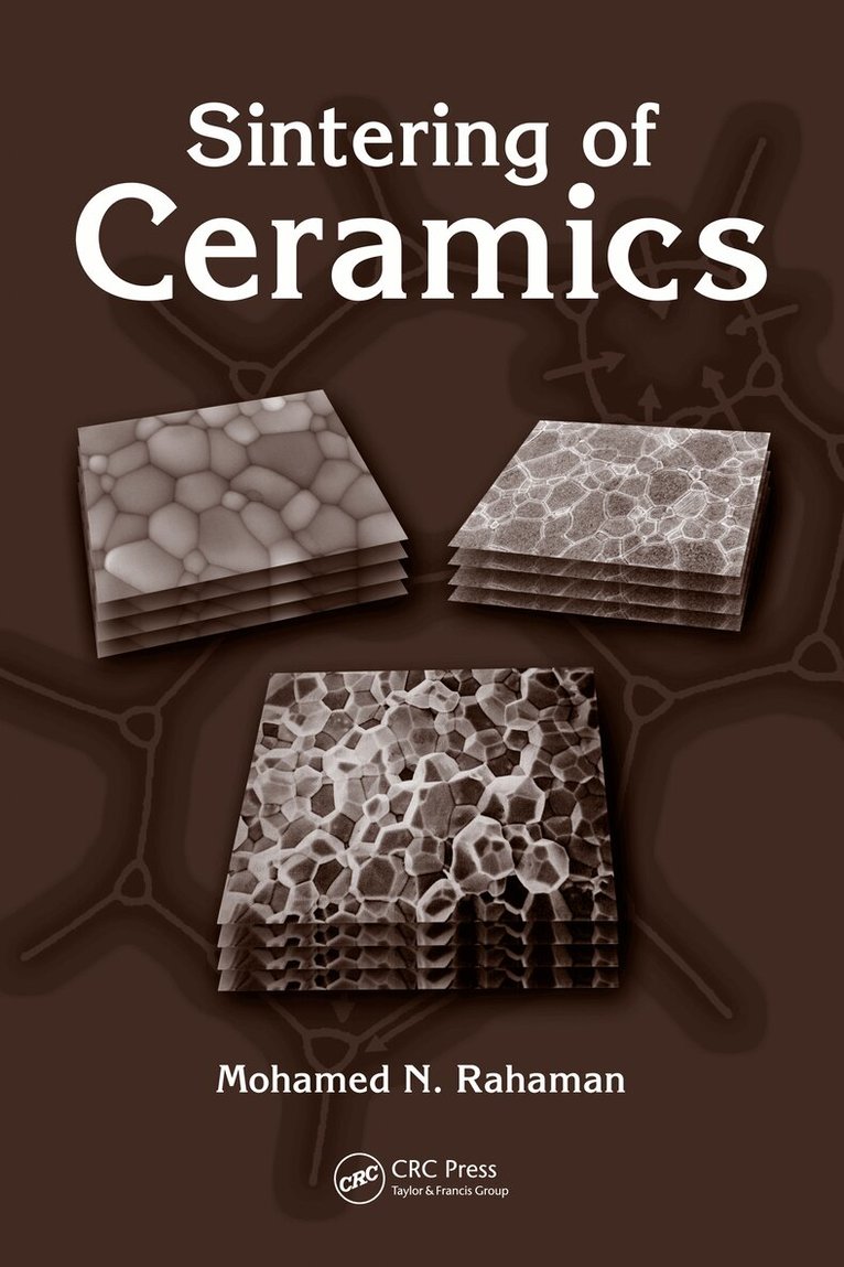 Mohamed N. Rahaman - Sintering of Ceramics, E-bok