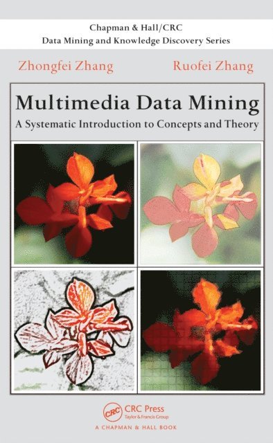 Ruofei Zhang, Zhongfei Zhang - Multimedia Data Mining, E-bok