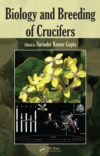 Surinder Kumar Gupta - Biology and Breeding of Crucifers, E-bok