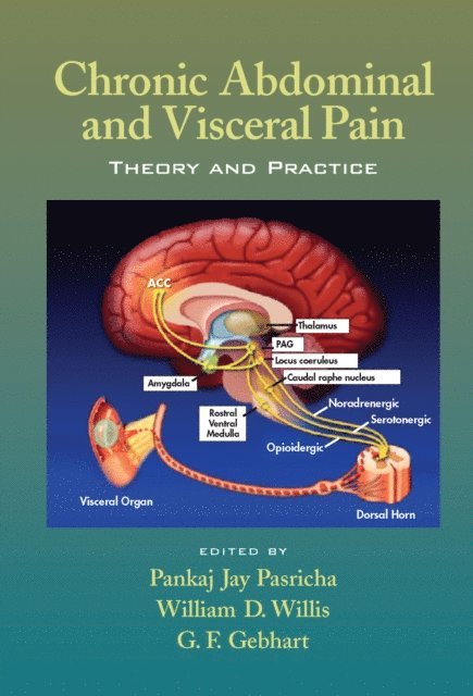 G. F. Gebhart, William D. Willis, Pankaj Jay Pasricha - Chronic Abdominal and Visceral Pain, E-bok