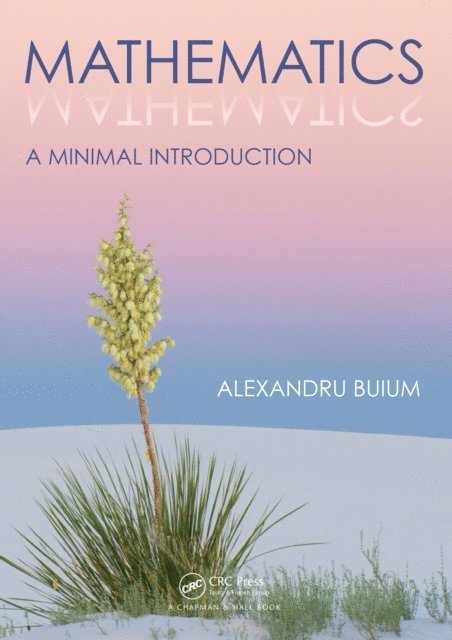 Alexandru Buium - Mathematics, E-bok