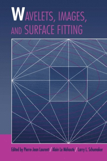 Larry Schumaker, Alain Le Mehaute, Pierre-Jean Laurent - Wavelets, Images, and Surface Fitting, E-bok