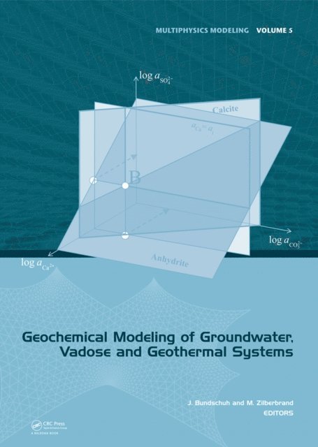 Michael Zilberbrand, Jochen Bundschuh - Geochemical Modeling of Groundwater, Vadose and Geothermal Systems, E-bok