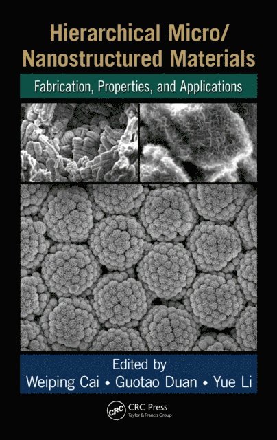 Yue Li, Guotao Duan, Weiping Cai - Hierarchical Micro/Nanostructured Materials, E-bok