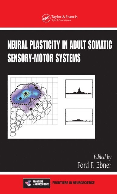 Ford F. Ebner - Neural Plasticity in Adult Somatic Sensory-Motor Systems, E-bok