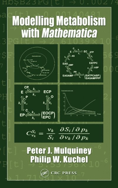 Philip W. Kuchel, Peter Mulquiney - Modelling Metabolism with Mathematica, E-bok