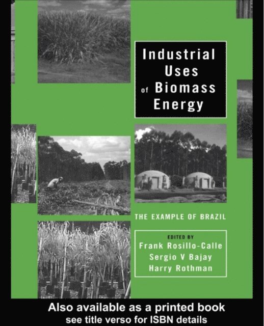 Harry Rothman, Sergio V. Bajay, Frank Rosillo-Calle - Industrial Uses of Biomass Energy, E-bok