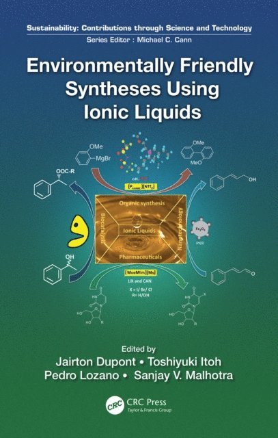Sanjay Malhotra, Pedro Lozano, Toshiyuki Itoh, Jairton Dupont - Environmentally Friendly Syntheses Using Ionic Liquids, E-bok