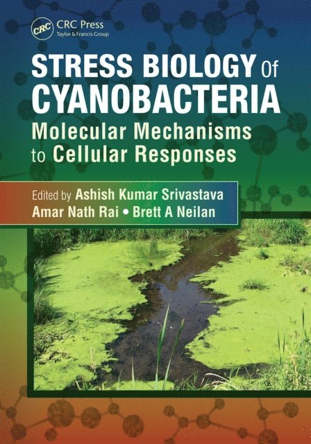 Brett A Neilan, Amar Nath Rai, Ashish Kumar Srivastava - Stress Biology of Cyanobacteria, E-bok
