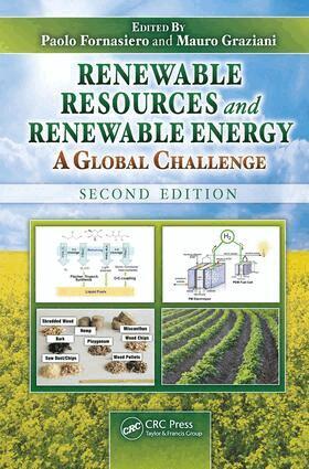 Paolo Fornasiero, Mauro Graziani - Renewable Resources and Renewable Energy, E-bok