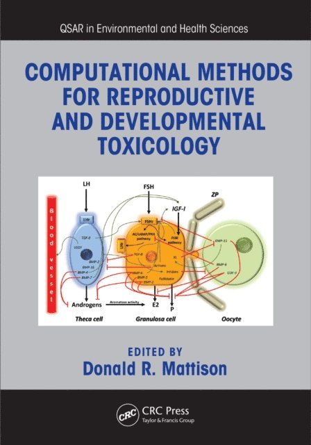 Donald R. Mattison - Computational Methods for Reproductive and Developmental Toxicology, E-bok