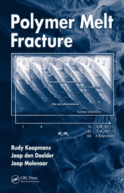 Jaap Molenaar, Jaap Den Doelder, Rudy Koopmans - Polymer Melt Fracture, E-bok