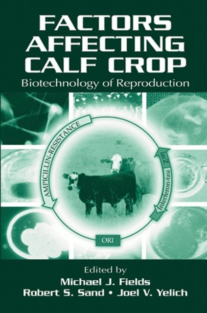 Joel V. Yelich, Robert S. Sand, Michael J. Fields - Factors Affecting Calf Crop, E-bok
