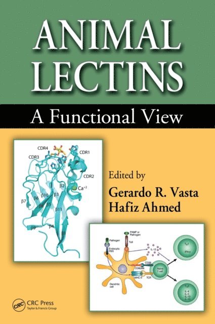 Hafiz Ahmed PhD, Gerardo R. Vasta PhD - Animal Lectins, E-bok