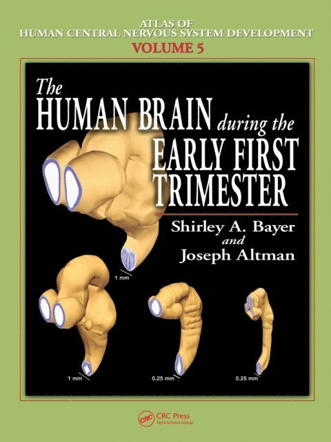 Joseph Altman, Shirley A. Bayer - Human Brain During the Early First Trimester, E-bok