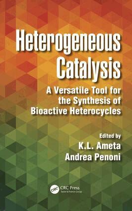 Ph.D. Ameta, Andrea Penoni - Heterogeneous Catalysis, E-bok