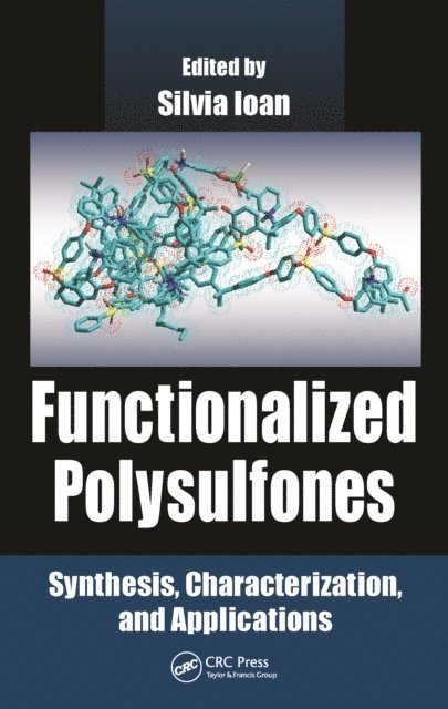Silvia Ioan - Functionalized Polysulfones, E-bok